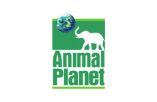logo animal planet