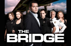 serie the bridge