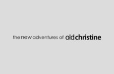 logo serie the new adventures of old christine