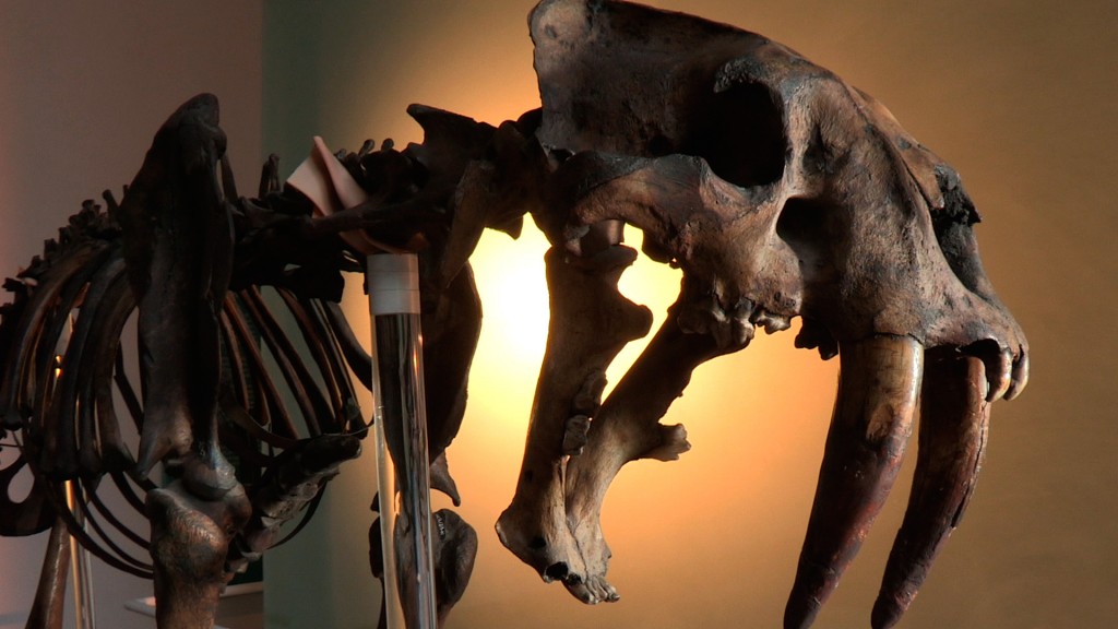 fotos mexico edad de hielo 3