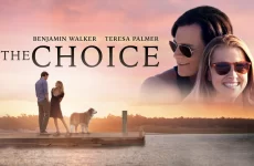 pelicula en nombre del amor the choice