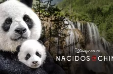 documental nacidos en china
