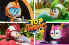 serie top wing