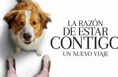 la razon de estar contigo un nuevo viaje