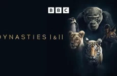 logo serie dinastias