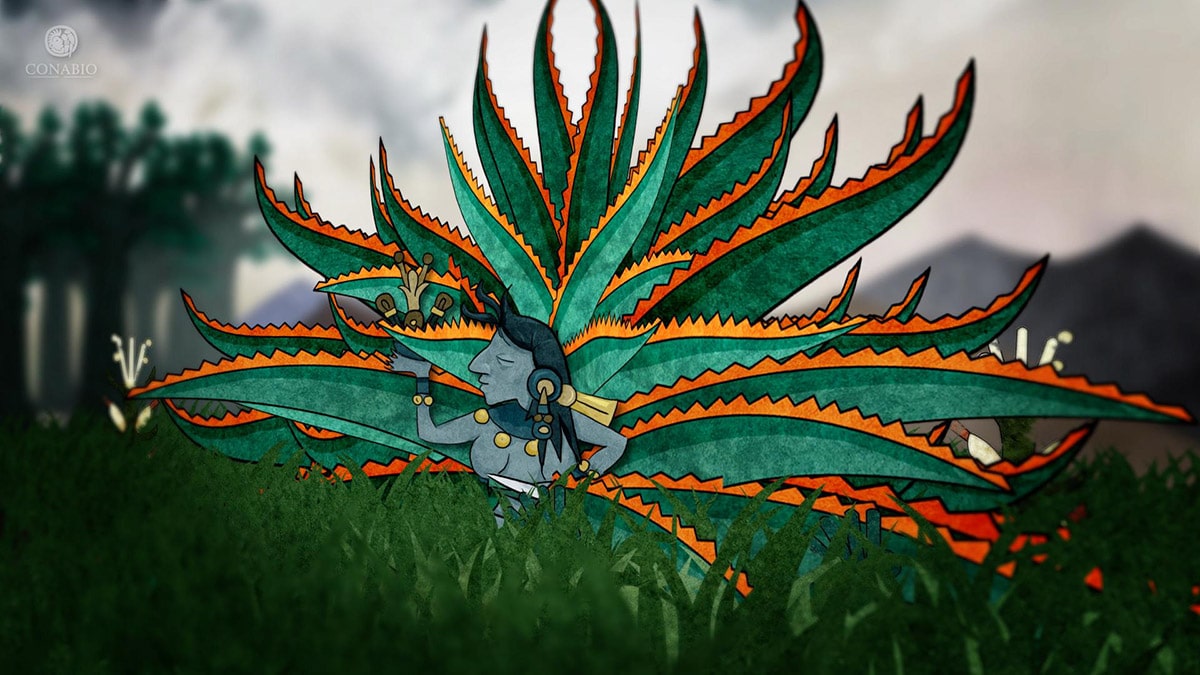 el once conabio once niños y niñas