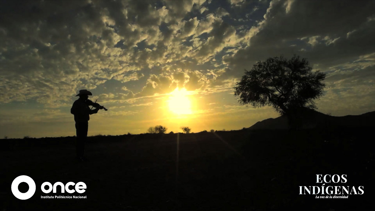 ecos indigenas once tv