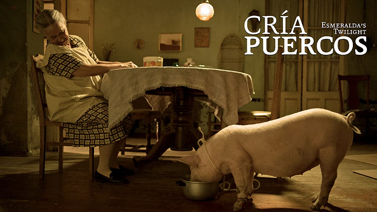 cria puercos cine del once