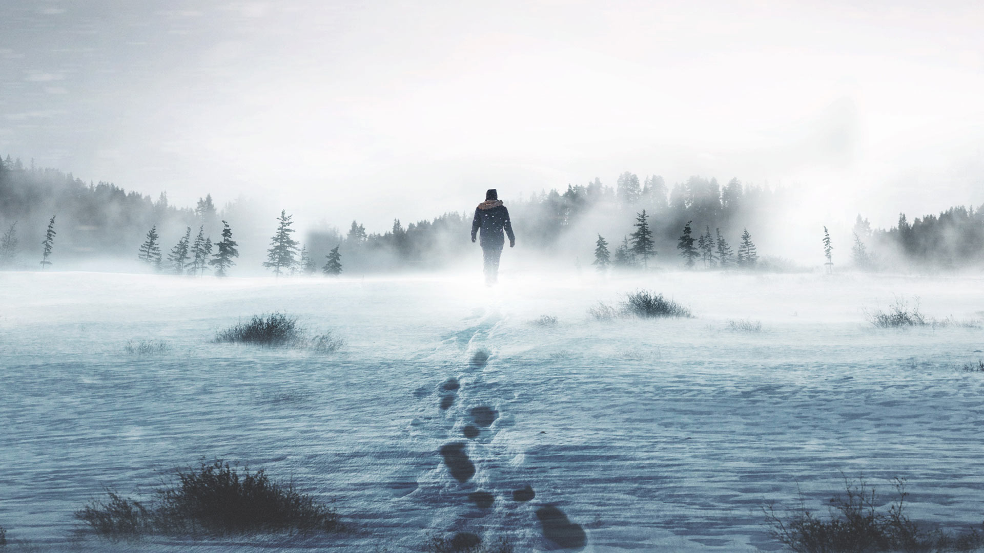 History presenta Solos Desafío del millón de dólares TVNotiBlog