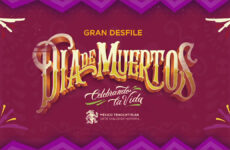 gran desfile dia de muertos