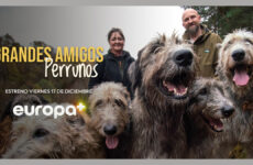 grandes amigos perrunos