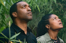 The Man Who Fell to Earth