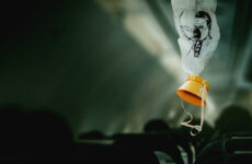 MH370 El avion que desaparecio