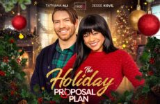 The Holiday Proposal Plan
