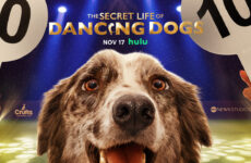 The Secret Life of Dancing Dogs